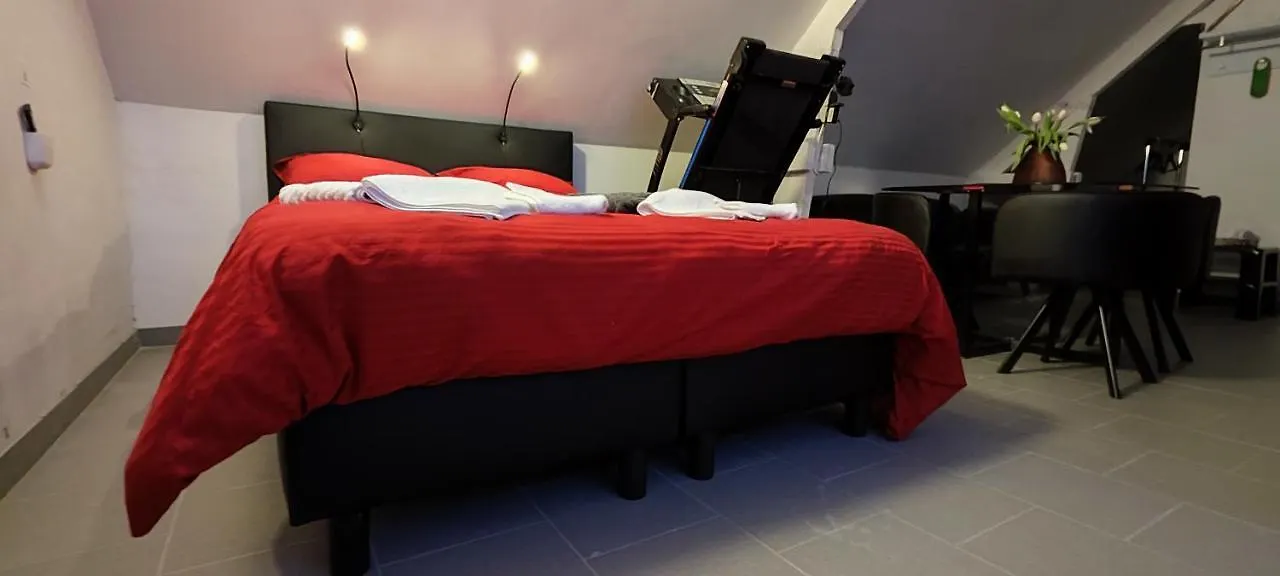 Logeerkamer Xxl 25 M2 Zemst 0*,