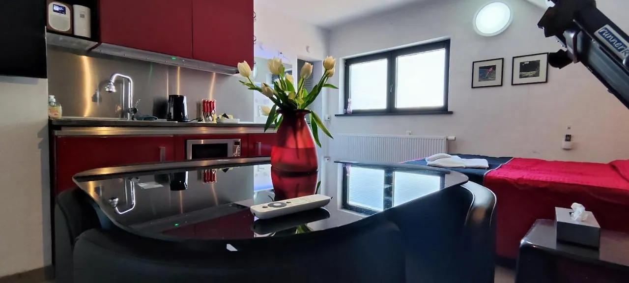 Logeerkamer Xxl 25 M2 Zemst België